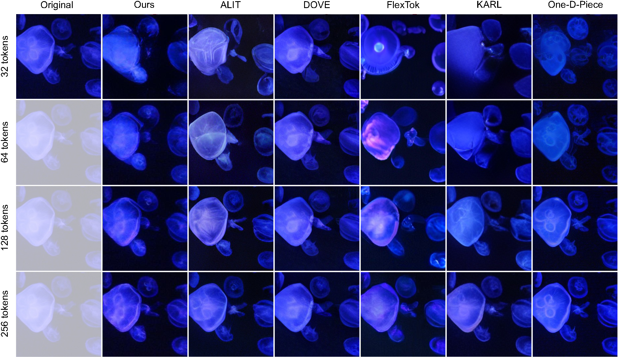 Jellyfish: contrasting tones comparison