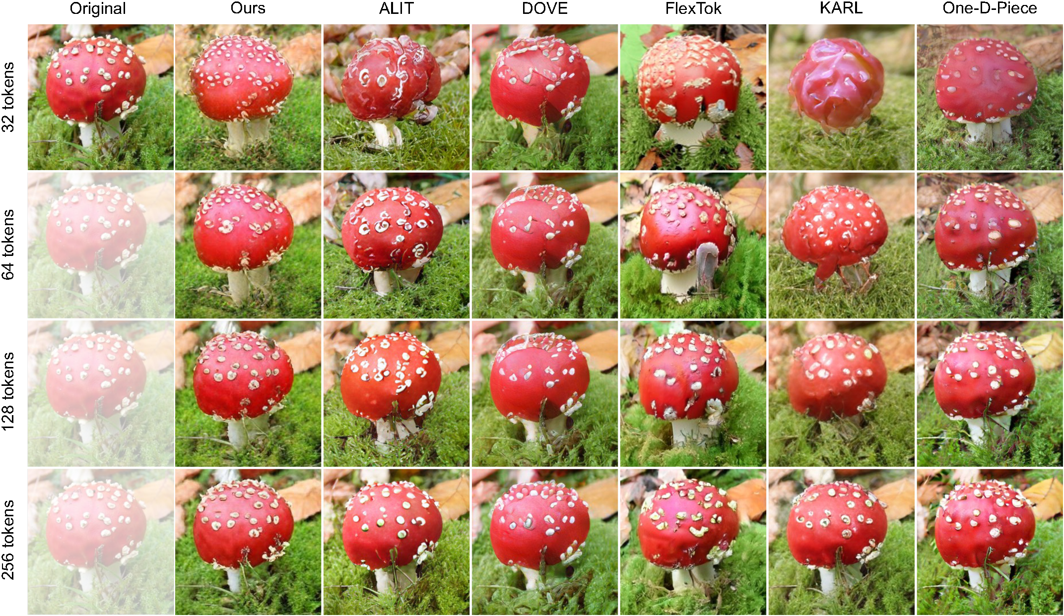 Mushroom: varied textures comparison